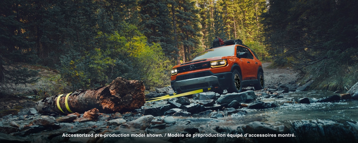 An orange Passport drives in a wooded forest with a fallen tree on the road.