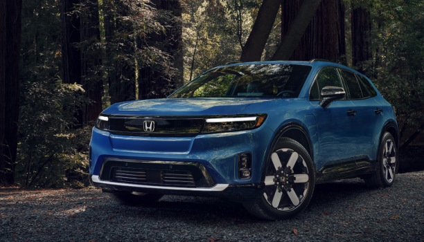 3/4 front view of a blue Prologue parked in a temperate forest.