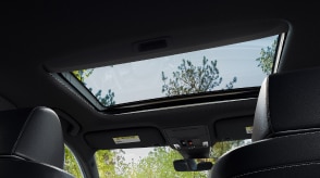 3/4 worm’s eye view of open moonroof showing various trees.