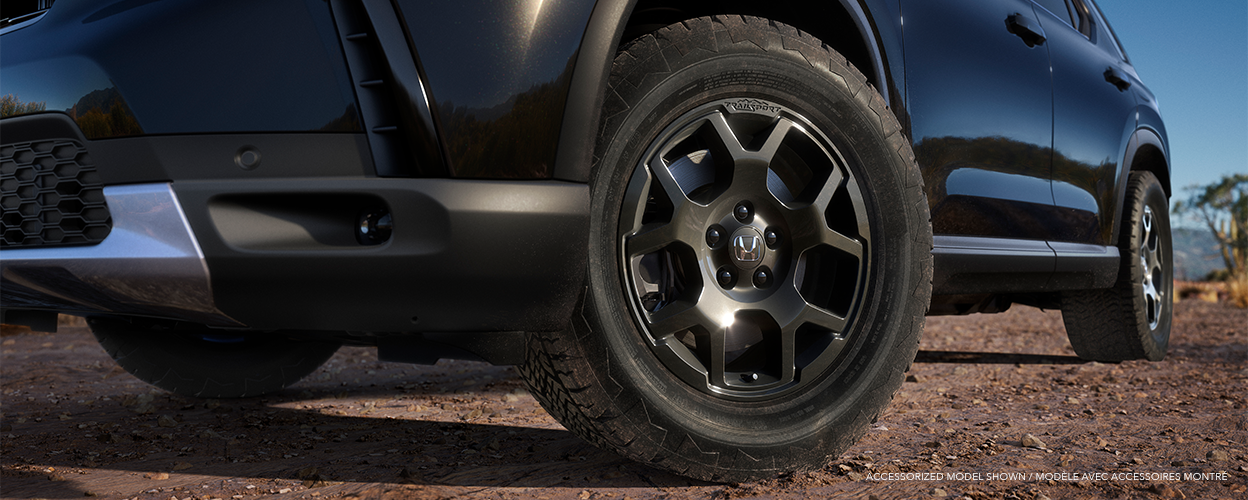 Closeup of black wheels on a light blue Pilot in the desert.